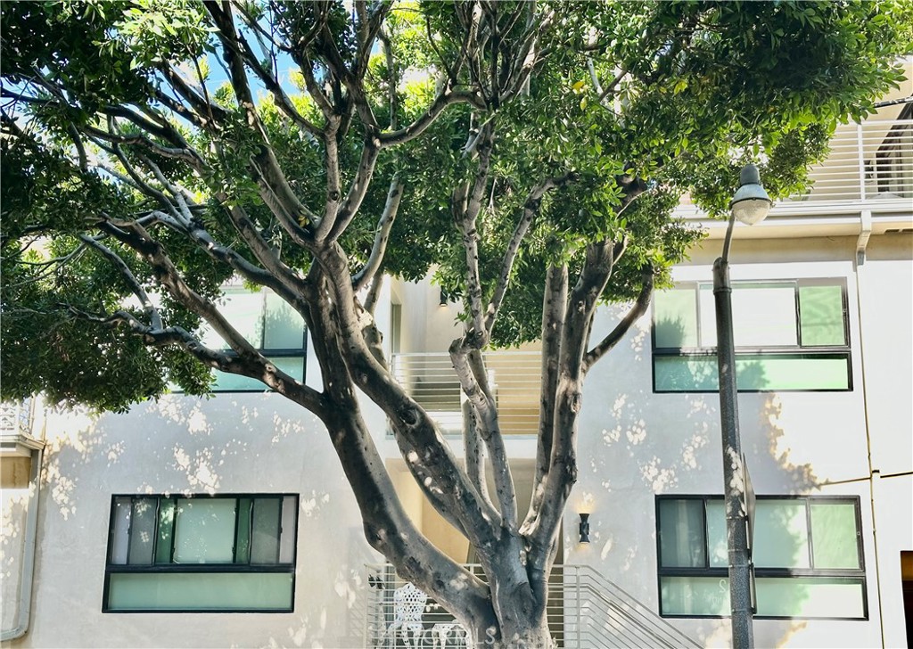 301 Ashland Avenue, Unit 2 Santa Monica, CA 90405 - Photo 2 of 24 a front view of a house with a tree