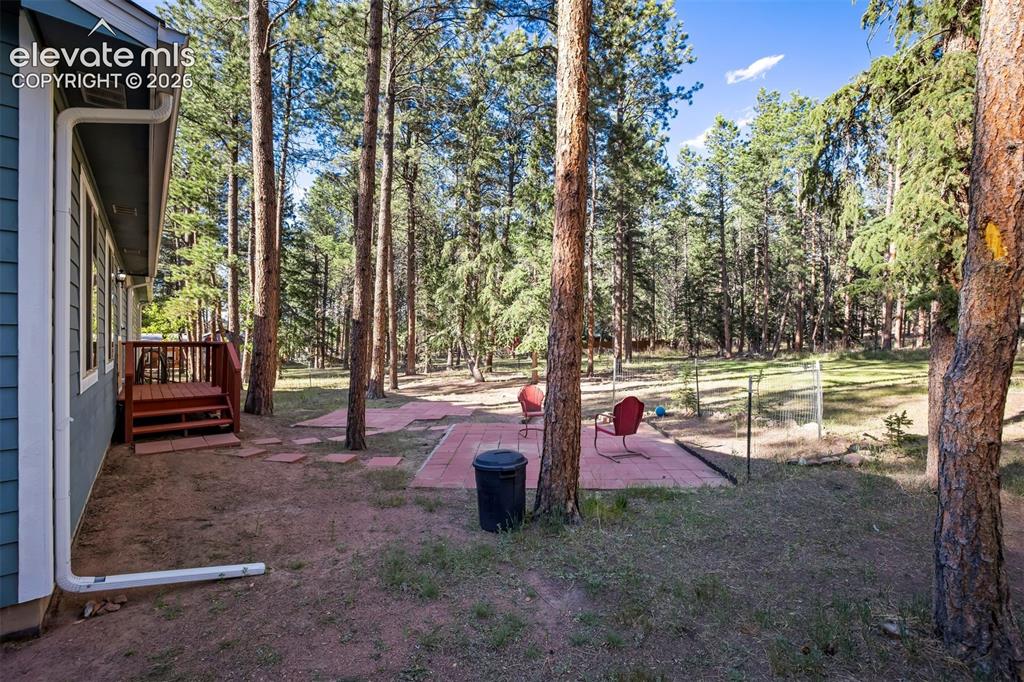 167 West Kelly Road Woodland Park, CO 80863 - Photo 45 of 50