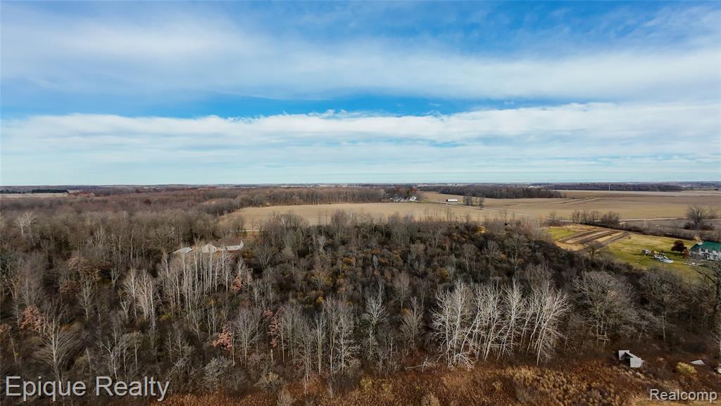 0 Brown Road Smiths Creek, MI 48074 - Photo 6 of 6
