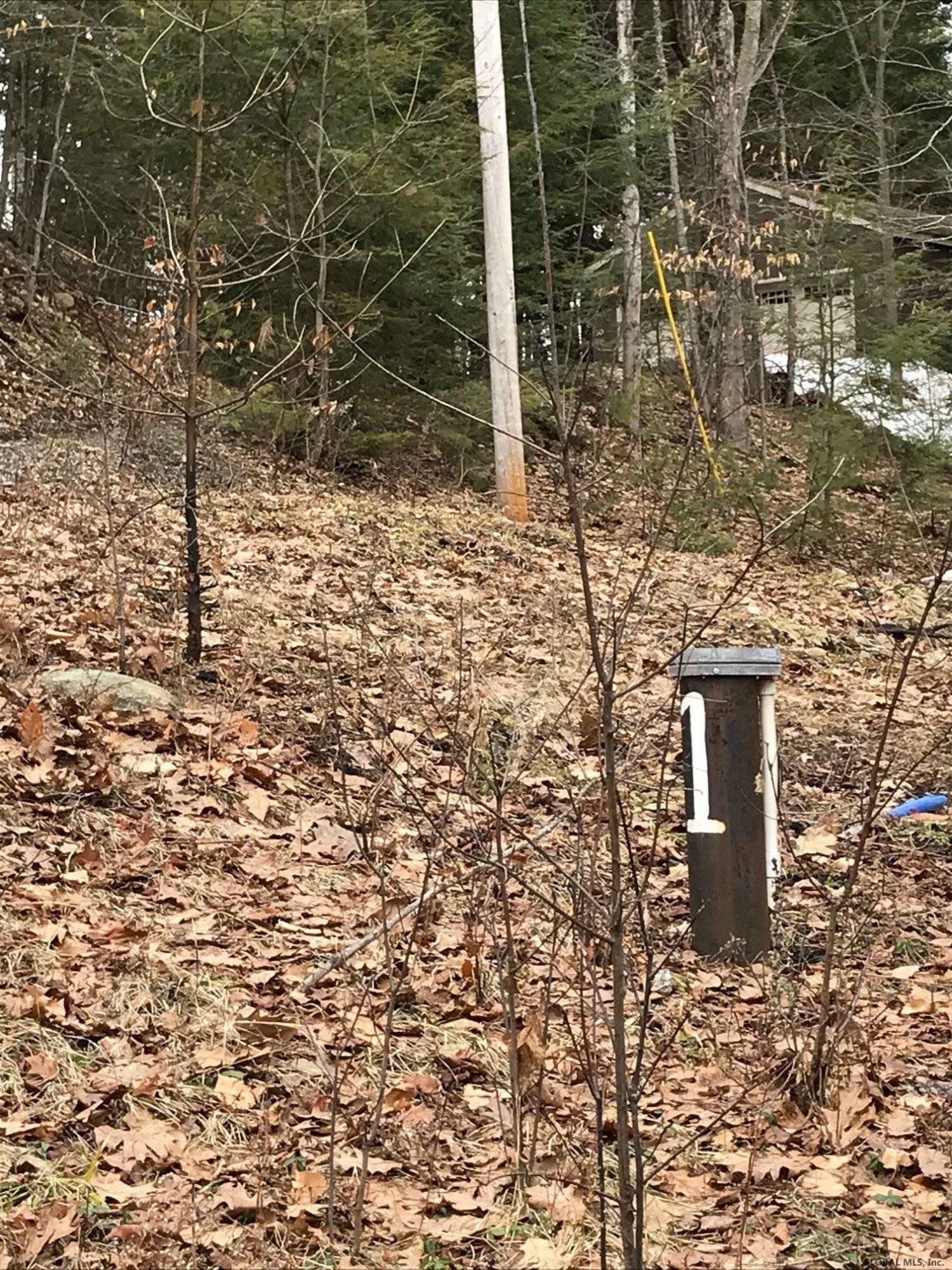 1 Beach Club Road Edinburg, NY 12835 - Photo 9 of 19 Photo 9