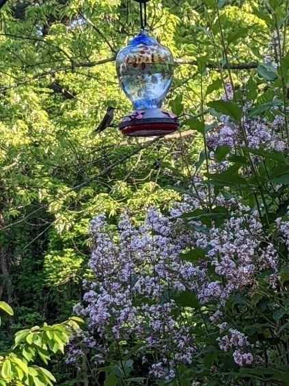 250 Belchertown Road Ware, MA 01082 - Photo 11 of 35