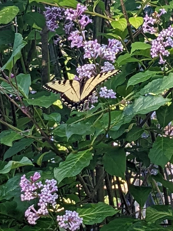 250 Belchertown Road Ware, MA 01082 - Photo 13 of 35