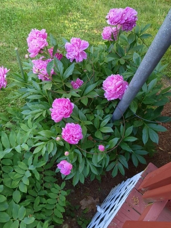 250 Belchertown Road Ware, MA 01082 - Photo 14 of 35