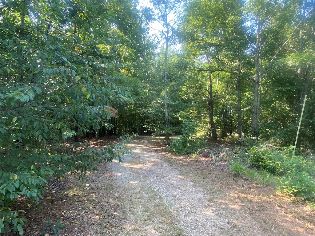 125 Red Bear Road Westminster, SC 29693 - Photo 16 of 26 Gallery Image 16