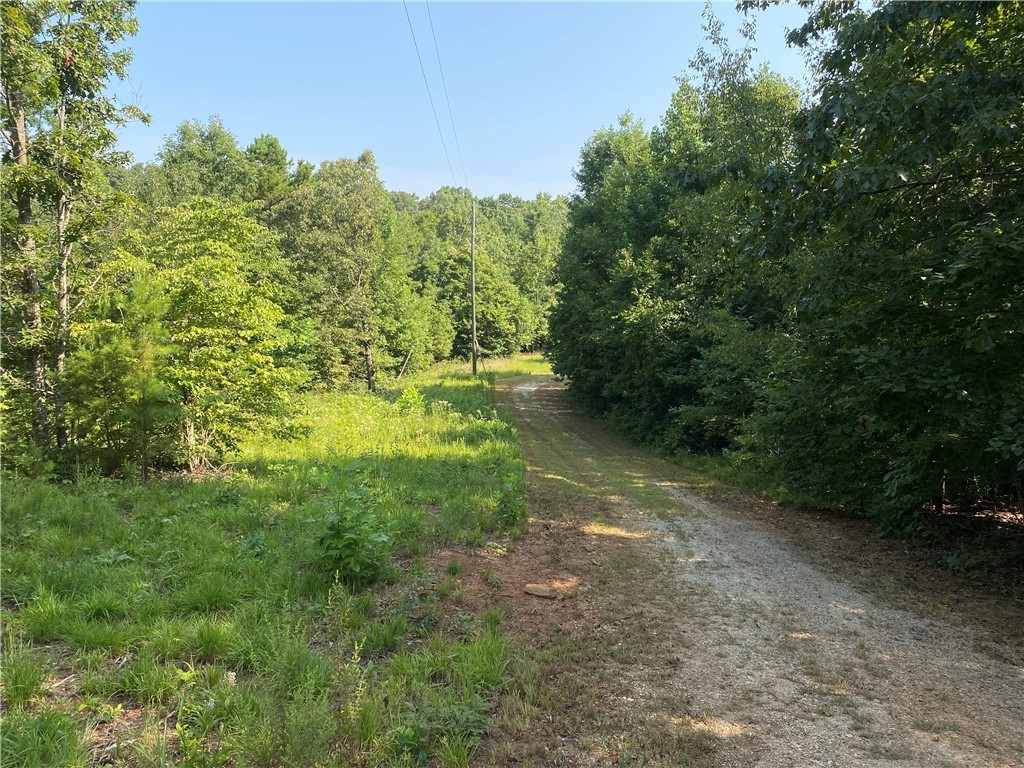 125 Red Bear Road Westminster, SC 29693 - Photo 20 of 26 Gallery Image 20