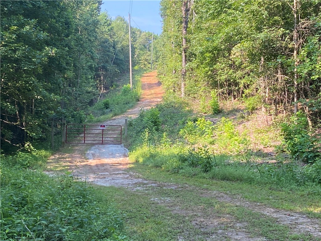 125 Red Bear Road Westminster, SC 29693 - Photo 23 of 26 Gallery Image 23