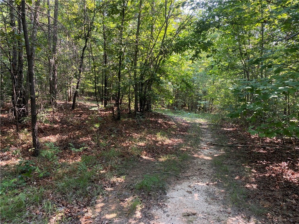 125 Red Bear Road Westminster, SC 29693 - Photo 5 of 26 Gallery Image 5