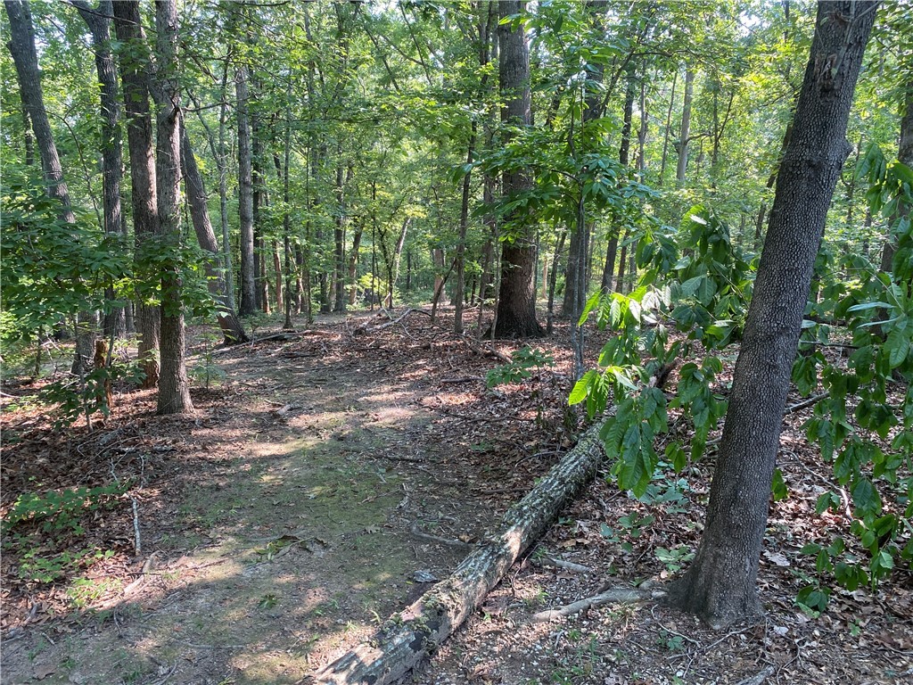 125 Red Bear Road Westminster, SC 29693 - Photo 8 of 26 Gallery Image 8
