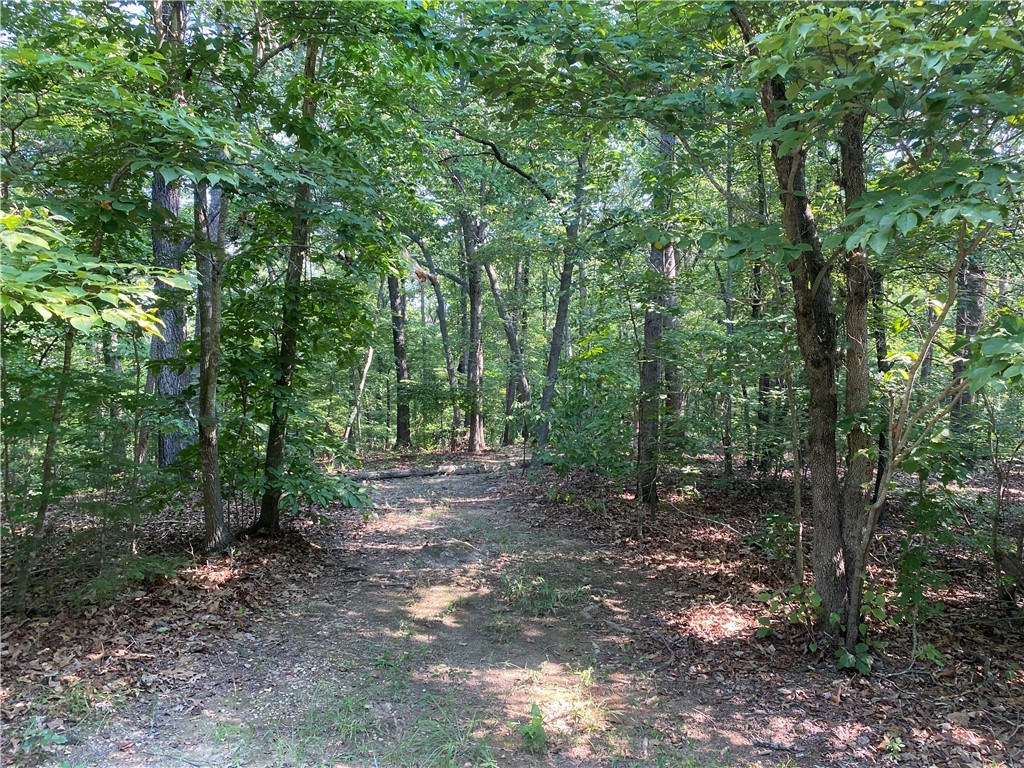 125 Red Bear Road Westminster, SC 29693 - Photo 9 of 26 Gallery Image 9