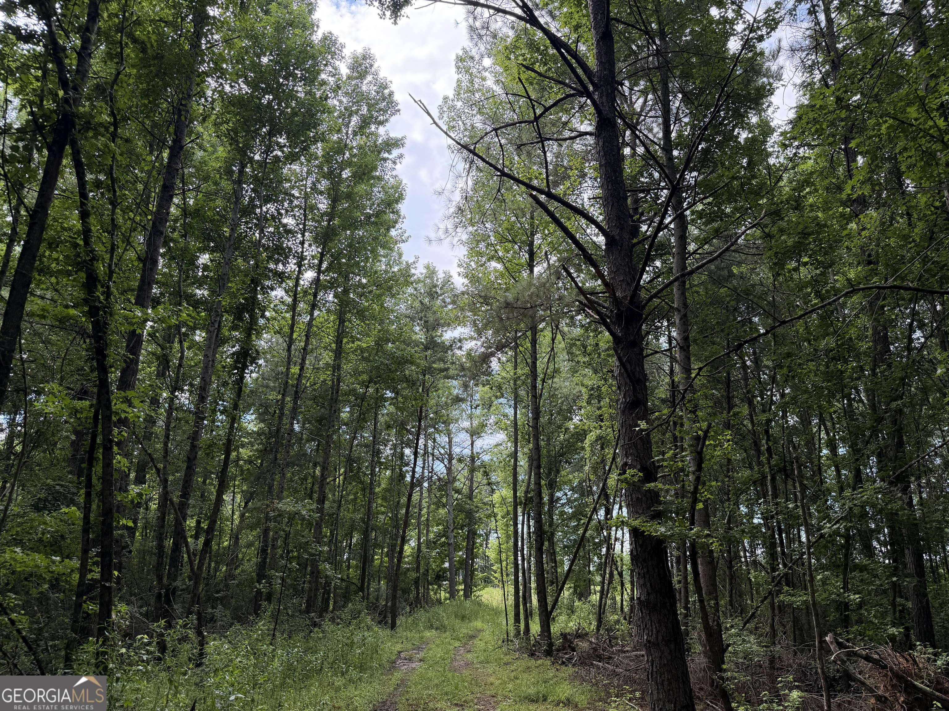 4 County Rd 445 Haleyville, AL 35565 - Photo 8 of 11