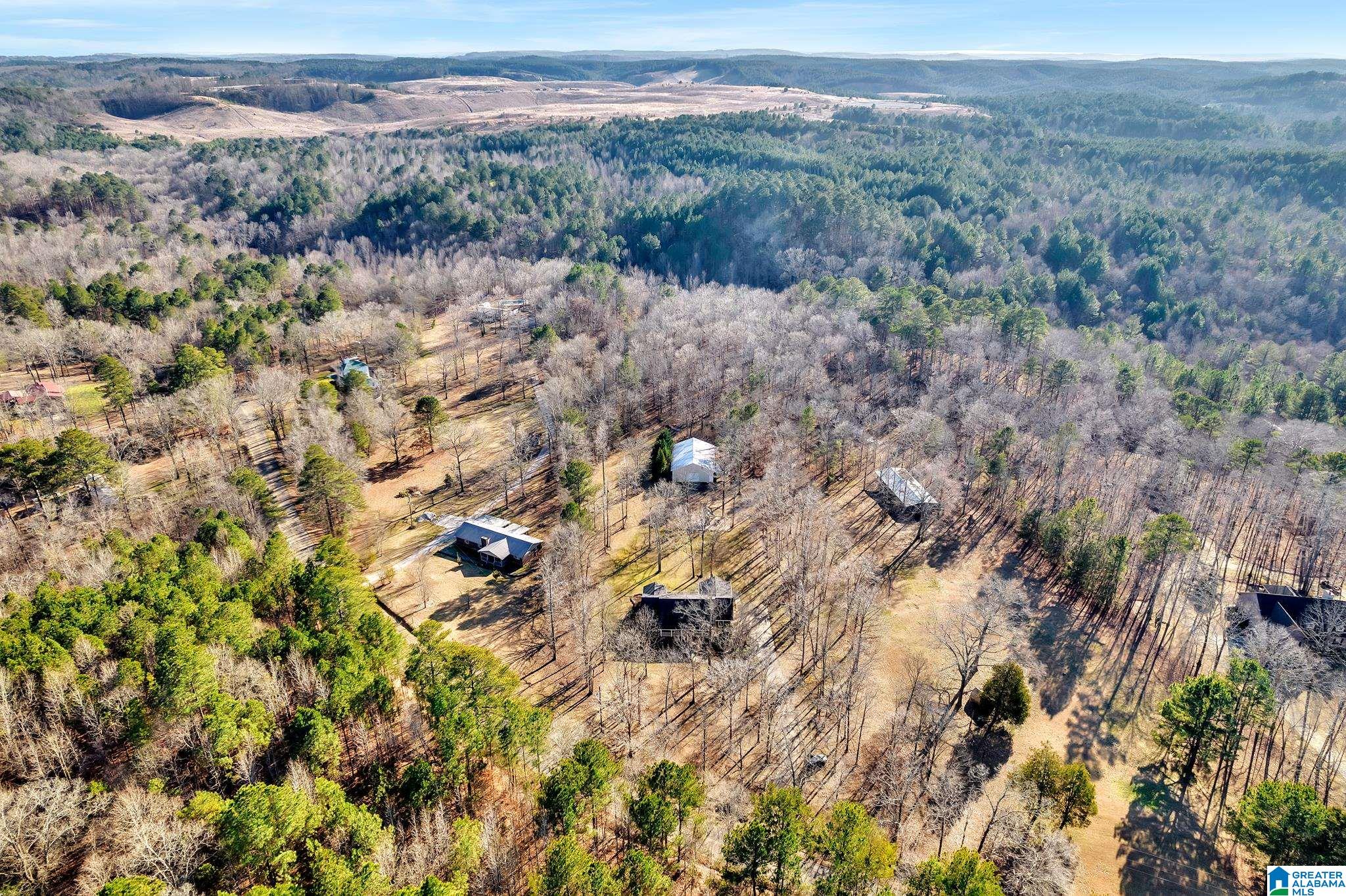 7826 Old Mt Olive Road Gardendale, AL 35071 - Photo 45 of 50