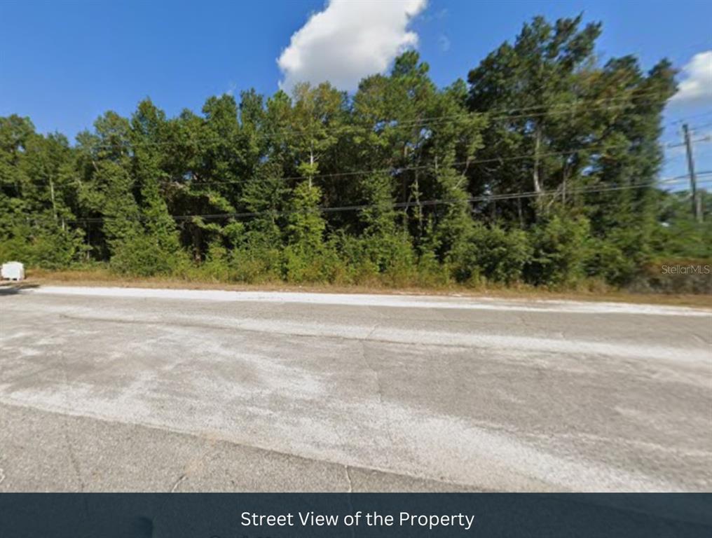 Julia Drive Milton, FL 32570 - Photo 6 of 21 a view of a backyard