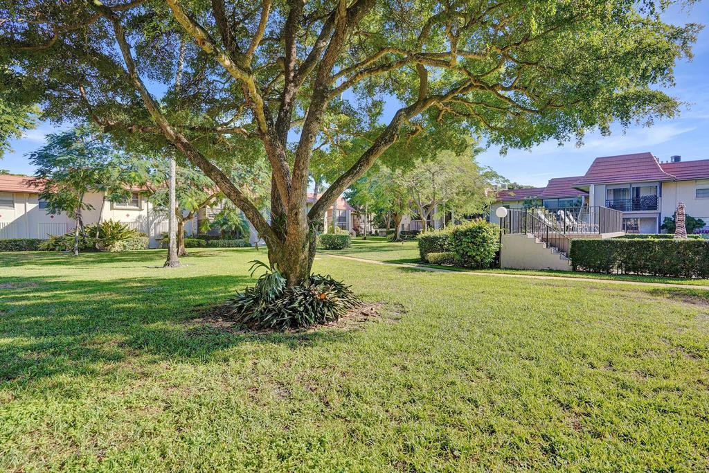 1050 Northwest 13th Street, Unit 193D Boca Raton, FL 33486 - Photo 48 of 55 a tree in the middle of a yard