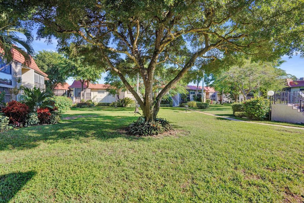 1050 Northwest 13th Street, Unit 193D Boca Raton, FL 33486 - Photo 49 of 55 a tall tree in middle of green field