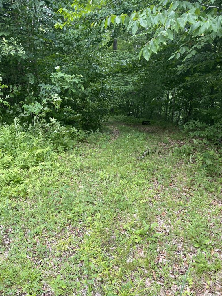 46-2 Benton Road, Unit 2 North Haverhill, NH 03774 - Photo 25 of 45