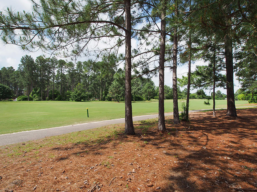 41 Richmond Road Foxfire, NC 27281 - Photo 22 of 24 golf5