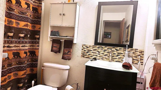 a bathroom with a sink toilet and shower