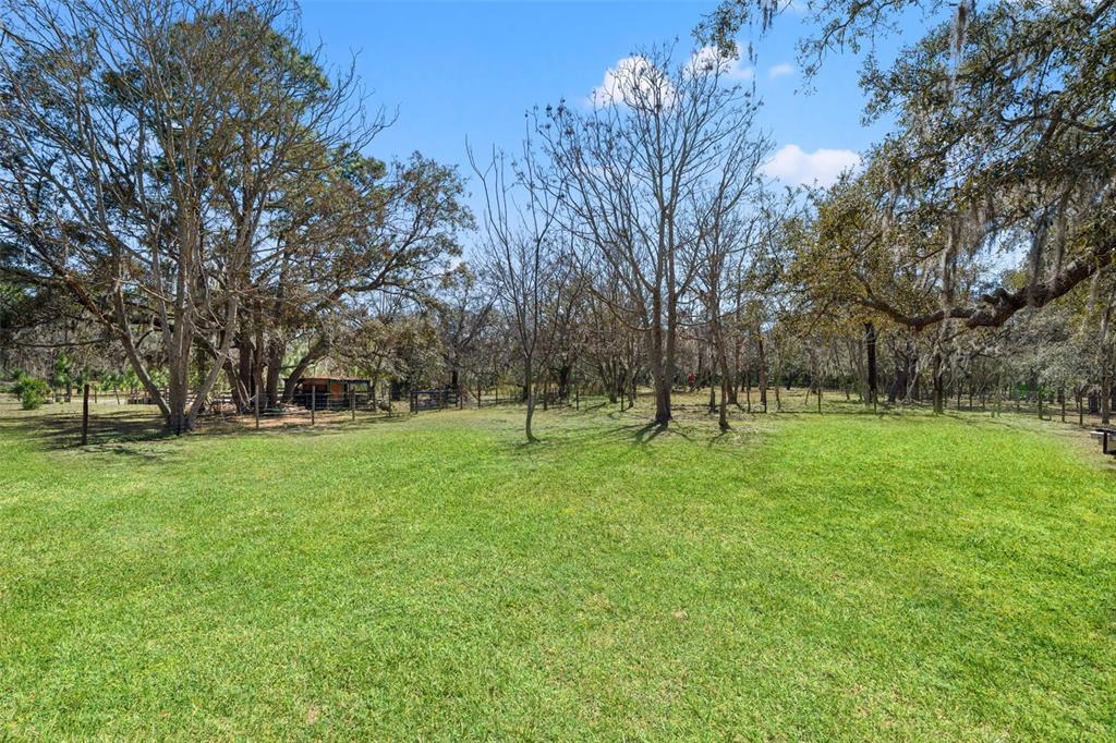12222 Beagle Road Hudson, FL 34667 - Photo 63 of 78 Gallery Image 63