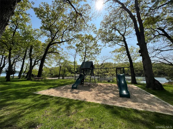 a view of a park with a tree