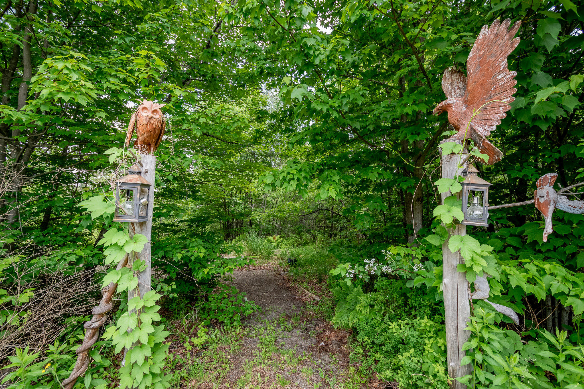 154 Merrills Mills Road Dover-Foxcroft, ME 04426 - Photo 115 of 145 DSC_0302
