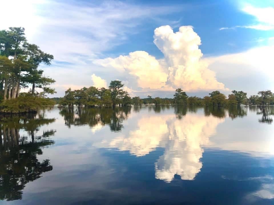 10 Linton Road Ponce de Leon, FL 32455 - Photo 3 of 8