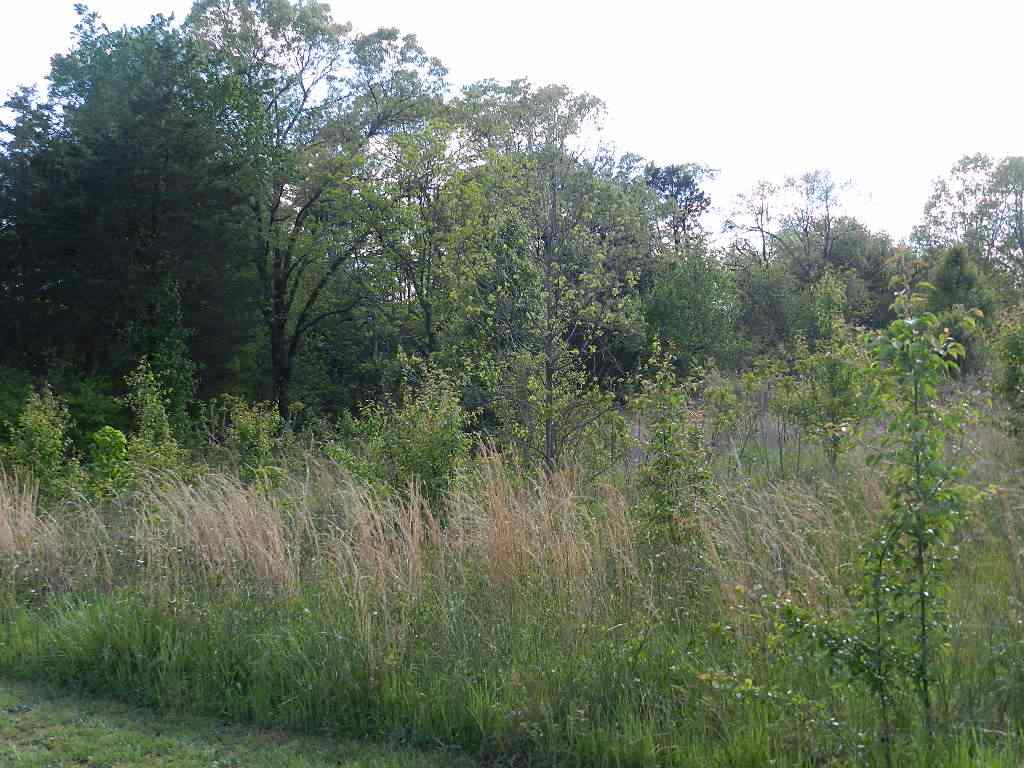 229 Bonner Road Gaffney, SC 29341 - Photo 26 of 29