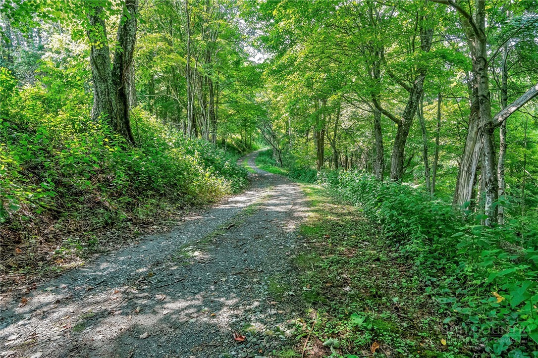 Little Windfall Road Lansing, NC 28643 - Photo 21 of 37 Gallery Image 21