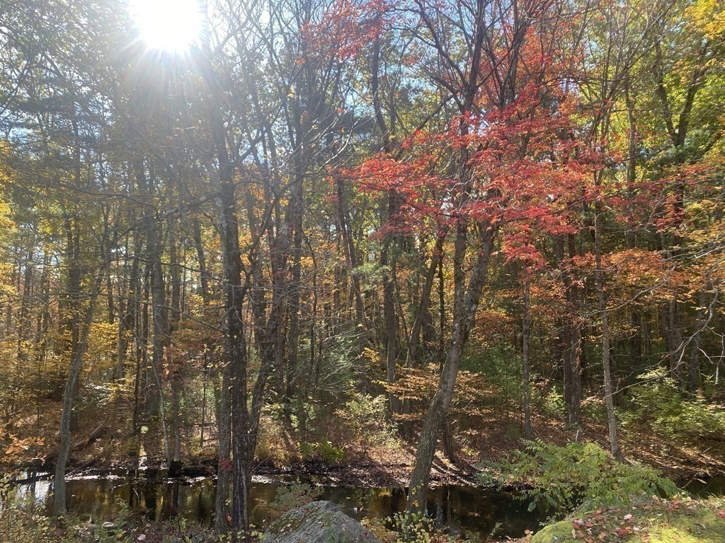 50 Teresa Road Hudson, MA 01749 - Photo 17 of 19 Gallery Image 17