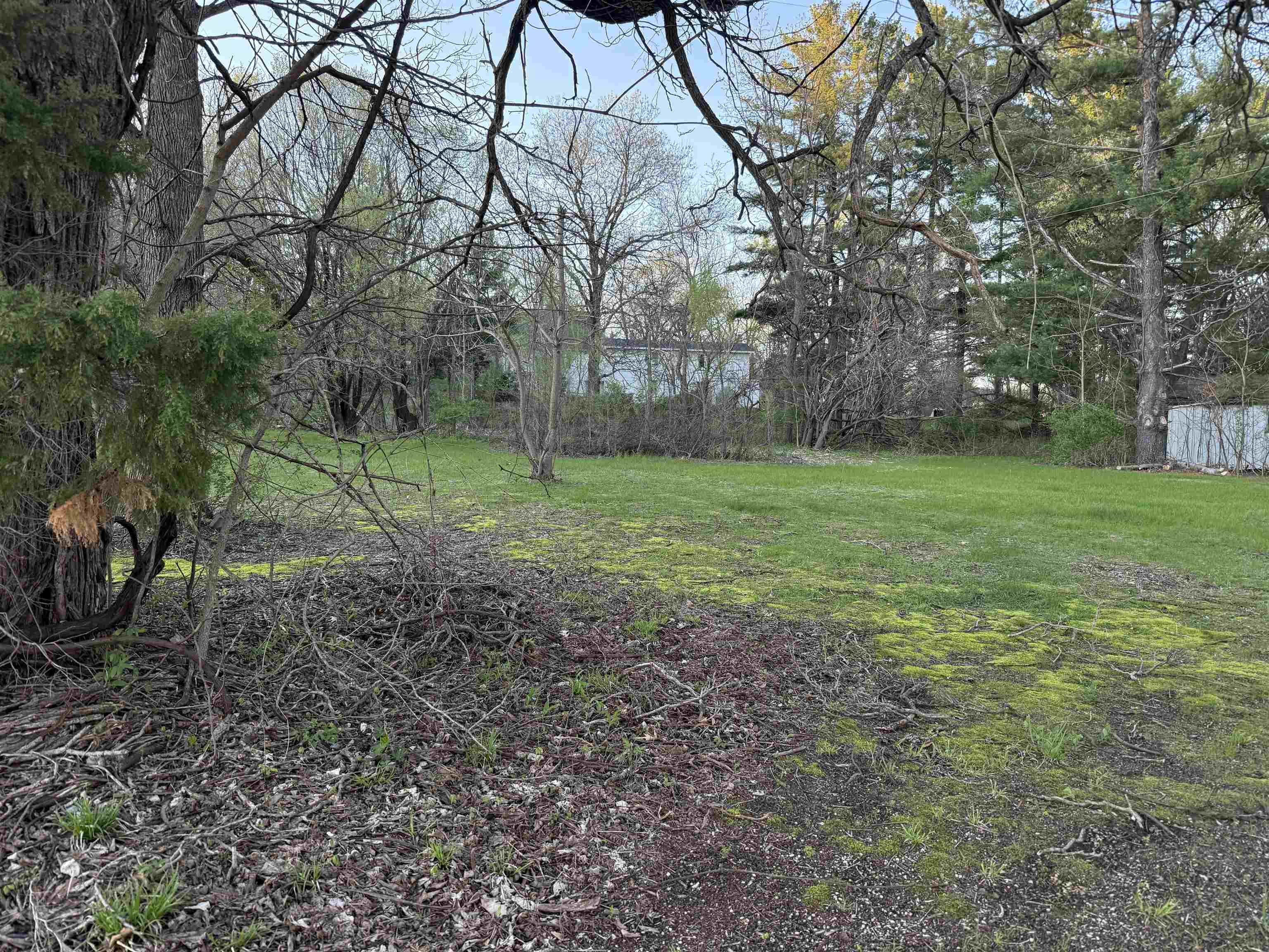 22296 Elizabeth Street Muscoda, WI 53573 - Photo 4 of 4