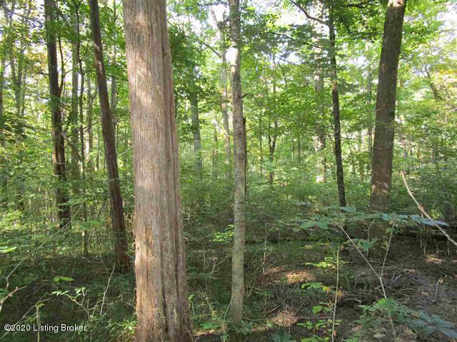 7870 Boston Road Bardstown, KY 40004 - Photo 26 of 28 183030-27