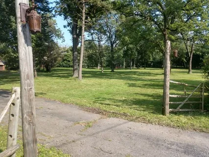 a view of a park with large trees