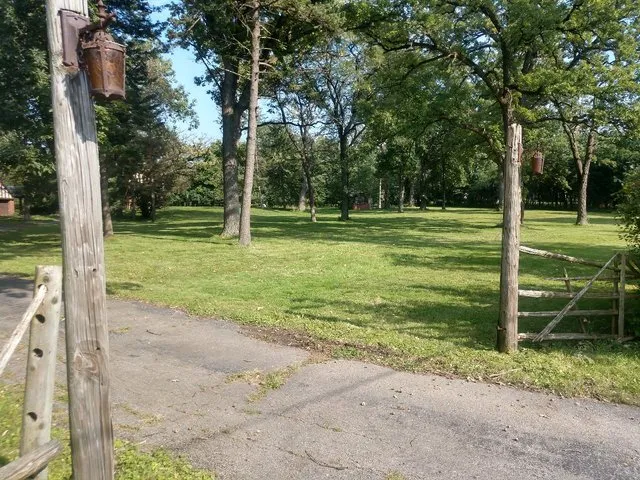 a view of a park with large trees