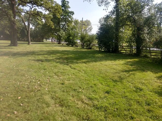 a view of a green field with trees