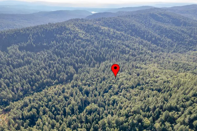 a view of a dry field with trees in the background