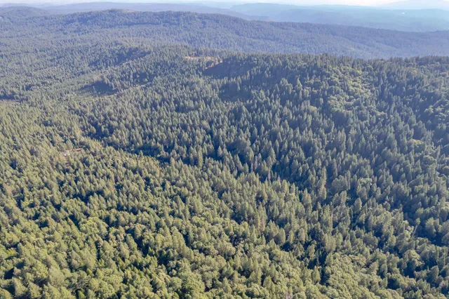 a view of a field with a tree in the background