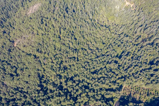 $75,000 | 10466 North Slope Trail, Brownsville, CA 95919