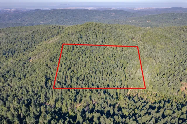 $75,000 | 10466 North Slope Trail, Brownsville, CA 95919