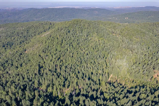 $75,000 | 10466 North Slope Trail, Brownsville, CA 95919