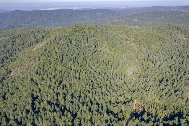 a view of a field with an outdoor space