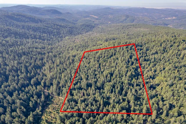 a view of a bird bath room