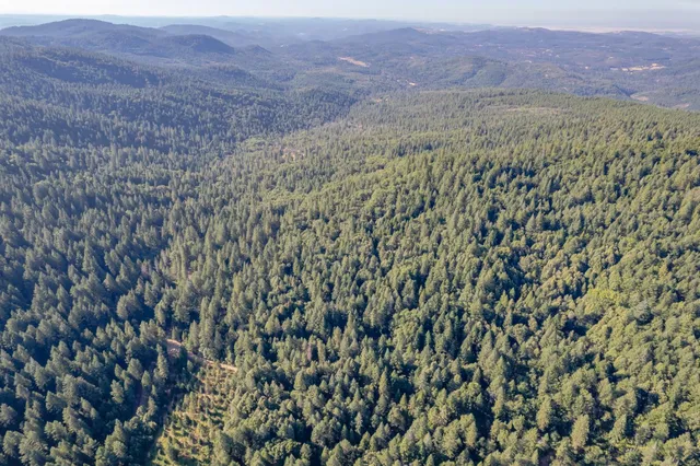 a view of a yard with an outdoor space