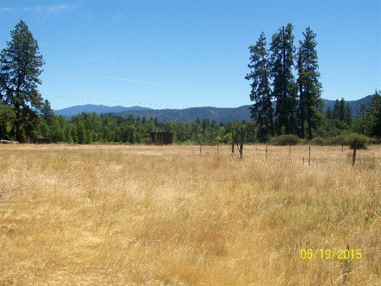 4271 Rockydale Road Cave Junction, OR 97523 - Photo 9 of 35 Another view looking more towards the N/