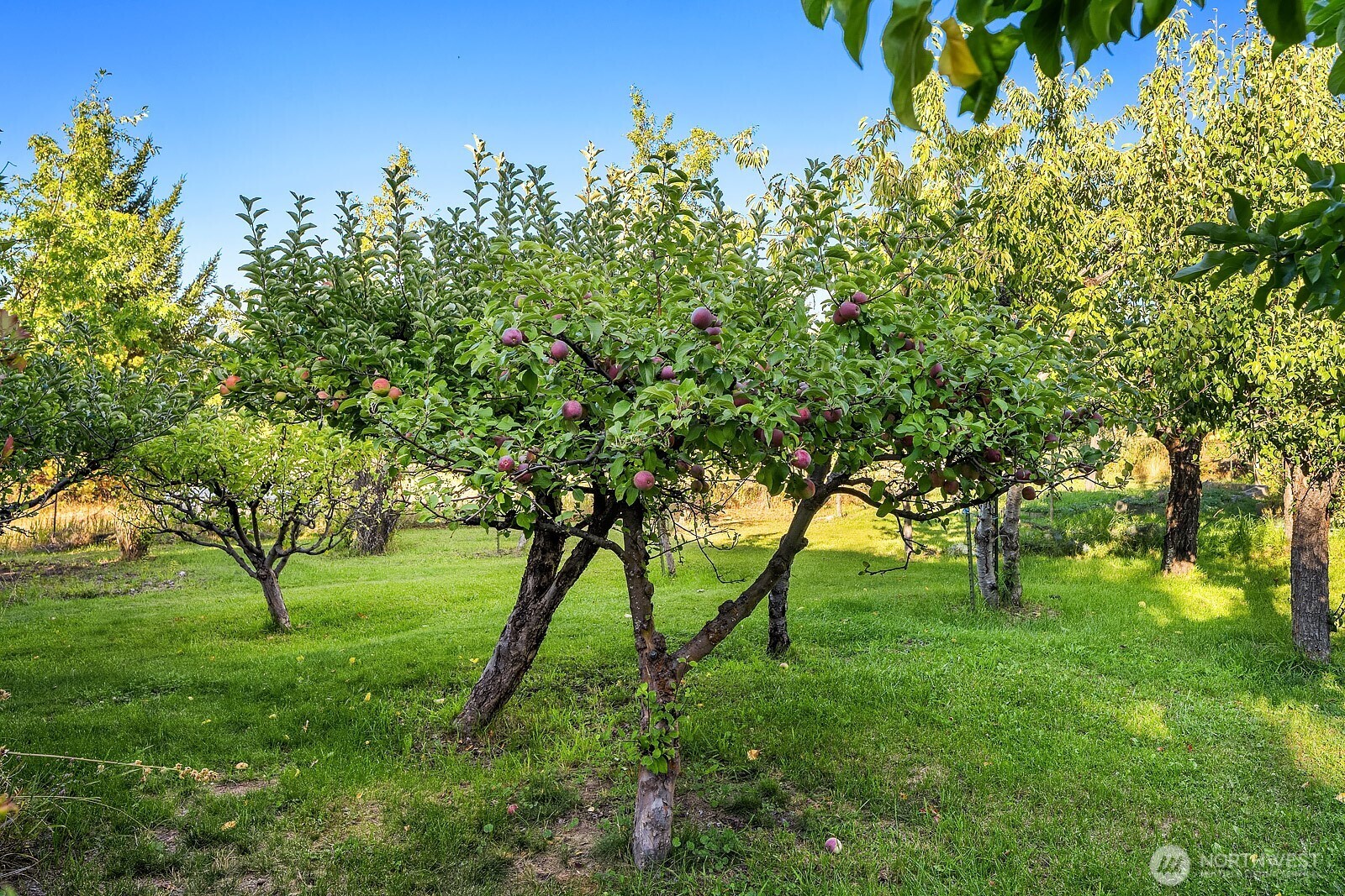 220 Big House Road Cle Elum, WA 98922 - Photo 5 of 39