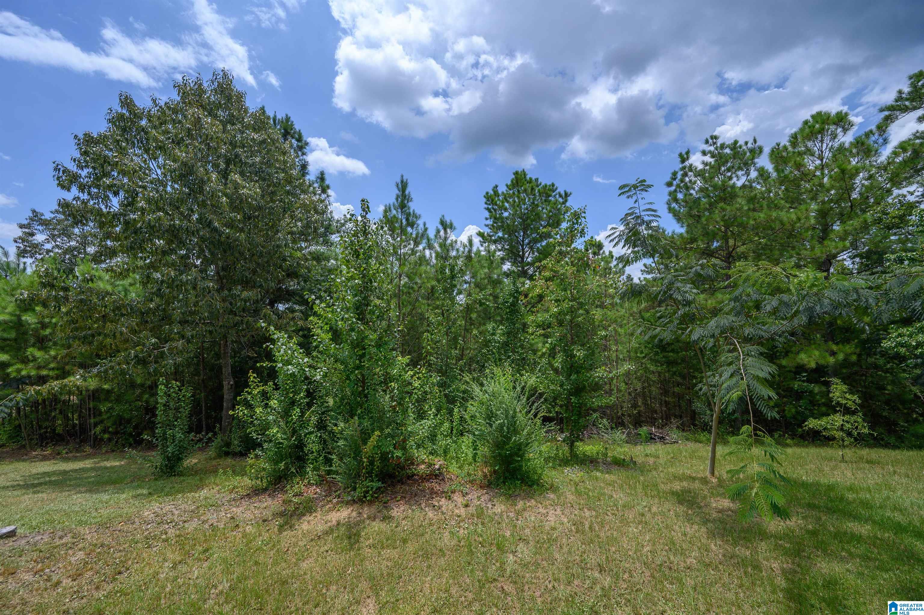 797 Highway 71 Shelby, AL 35143 - Photo 37 of 45