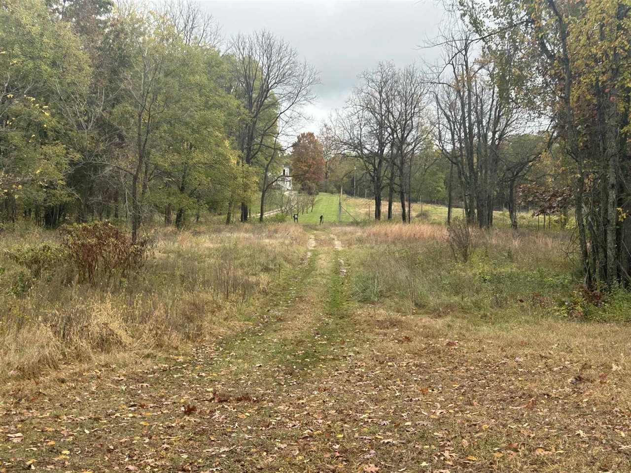 4680 Fitzpatrick Road Jonesville, MI 49250 - Photo 46 of 79