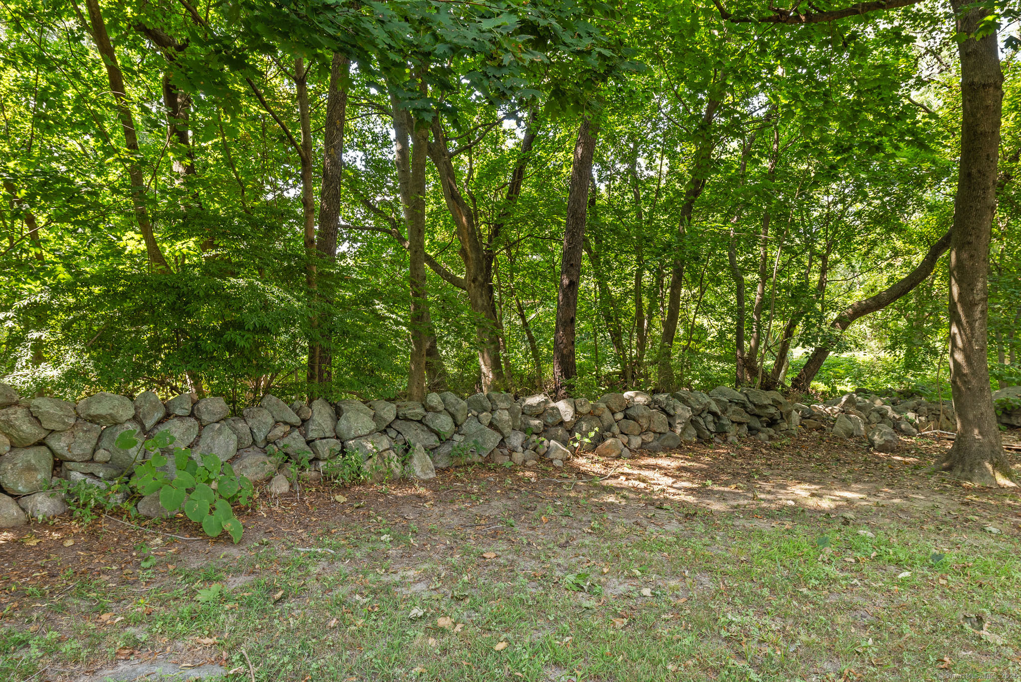 24 Pine Street Waterford, CT 06385 - Photo 17 of 39 a view of a forest