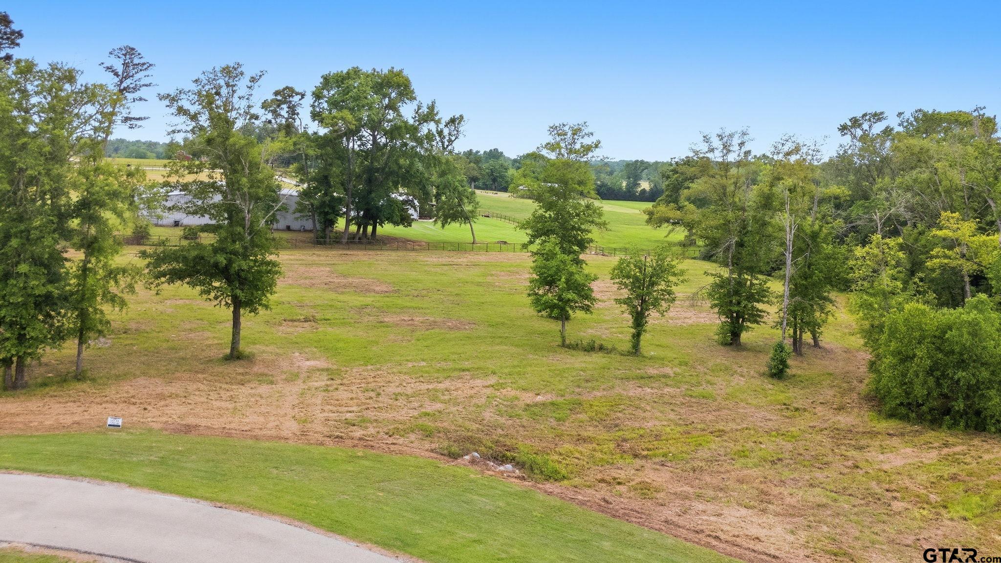 Lot 4 Deer Hvn Road Tyler, TX 75702 - Photo 6 of 11 a view of a lake with a building in the background