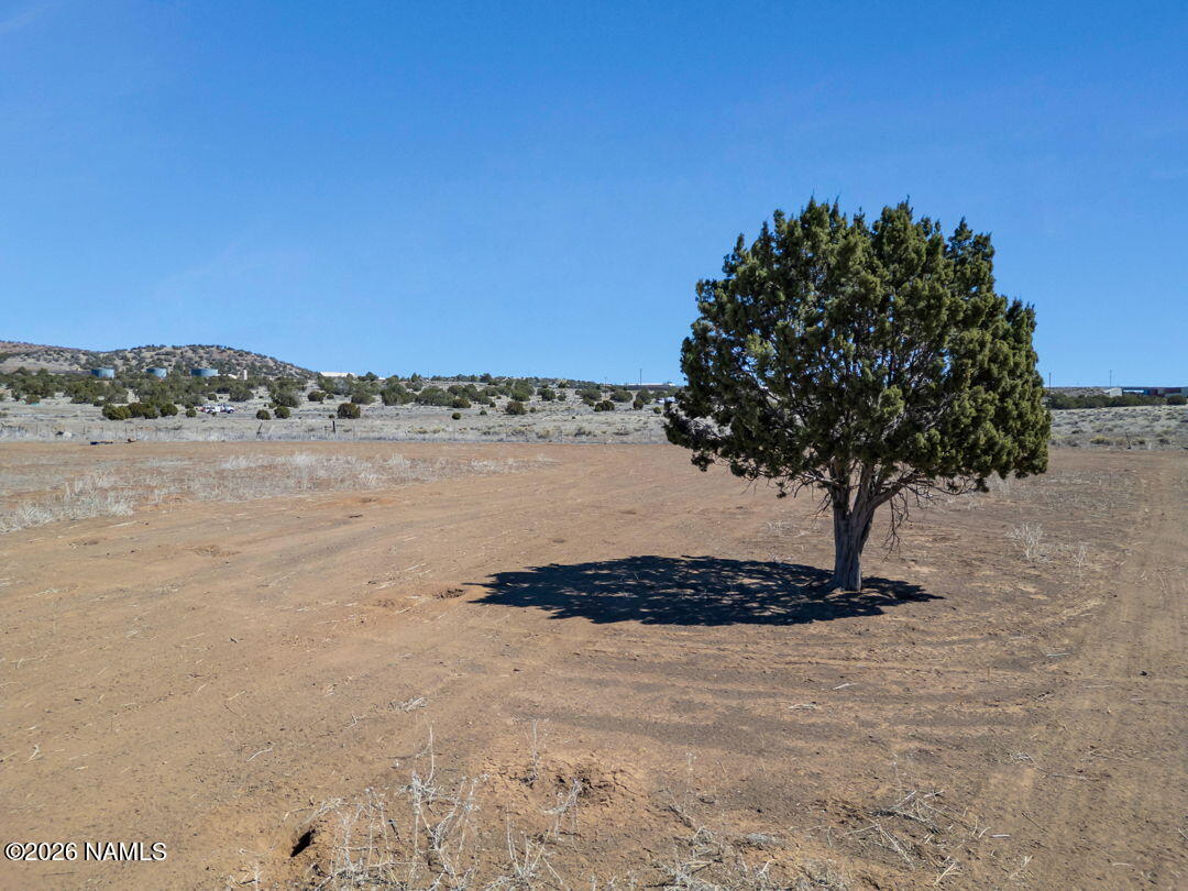 Tbd Townsend-Winona Road Flagstaff, AZ 86004 - Photo 13 of 26 13-web-or-mls-TimberCreekImagery-13