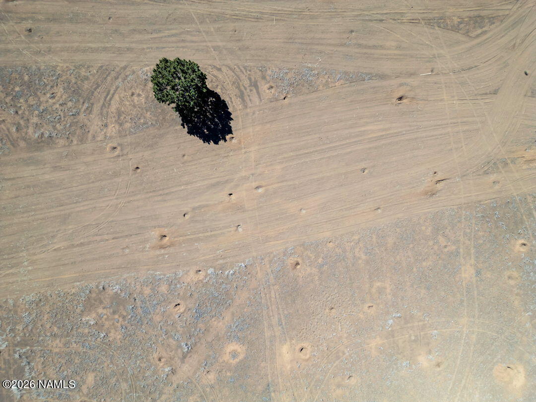 Tbd Townsend-Winona Road Flagstaff, AZ 86004 - Photo 14 of 26 14-web-or-mls-TimberCreekImagery-14