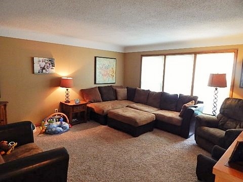 1679 Van Buren Road Reese, MI 48757 - Photo 3 of 14
